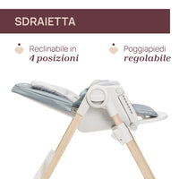 SEGGIOLONE POLLY ARMONIA CHICCO