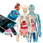 GIOCO ANATOMIA SUPER CLEMENTONI