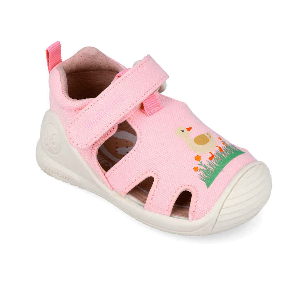 SCARPA RAGNETTO TELA BIOMECANICS GIRL