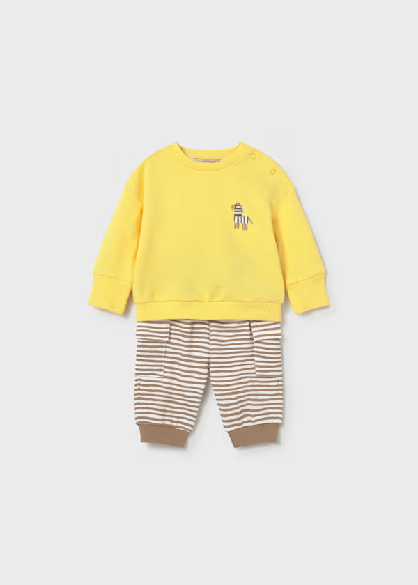 COMPL.ZEBRA MAYORAL BOY