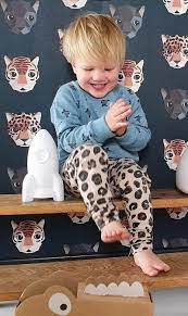 LUCE NOTTURNA RAZZO APOLLO