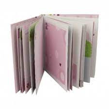 L'ALBUM DEI RICORDI ROSA CHICCO