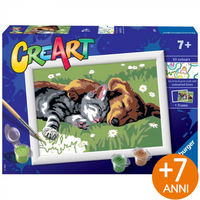 CREART SERIE D 7+