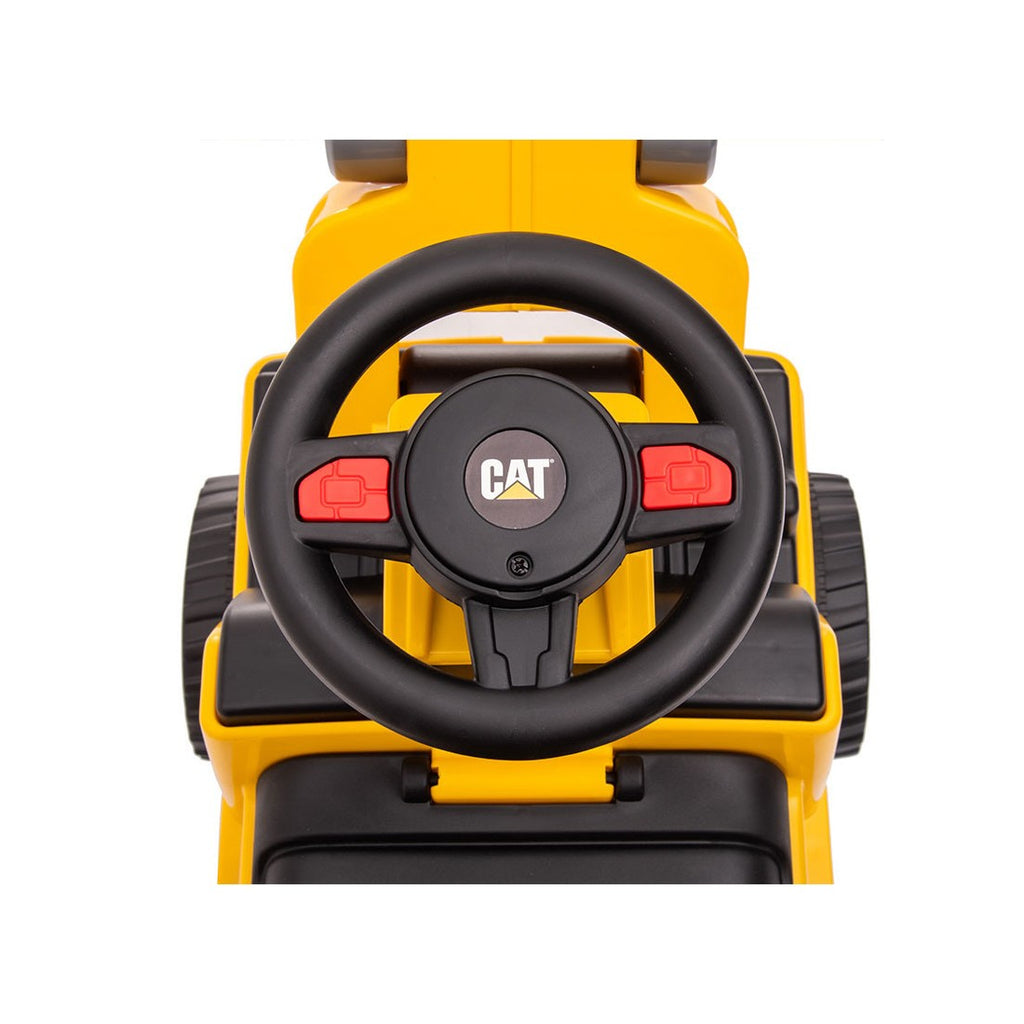 GIOCO PRIMI PASSI CAT