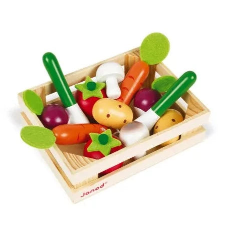 GIOCO CASSETTA 12 VERDURE JANOD 2+