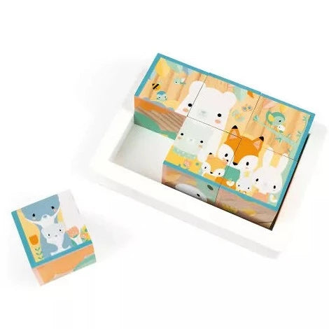 GIOCO PURE VASSOIO 6 CUBI JANOD